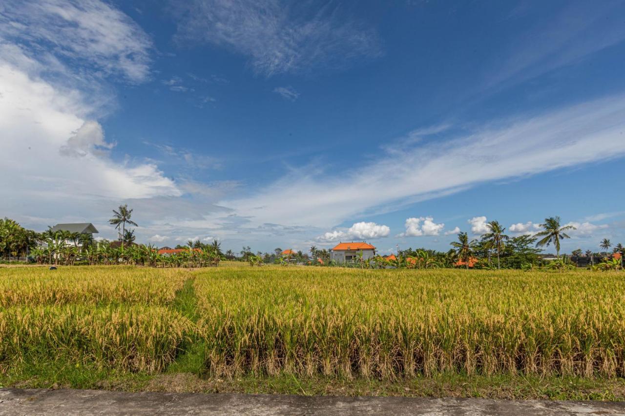 D'Jineng Rice Terrace Canggu Εξωτερικό φωτογραφία